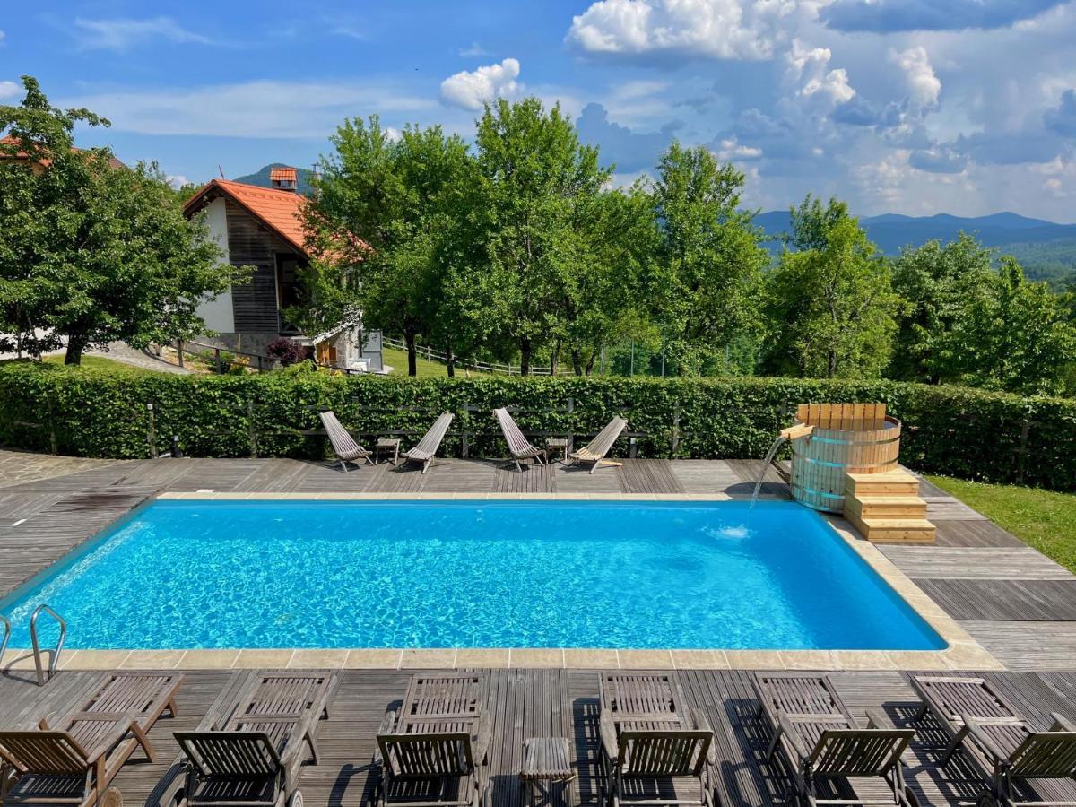 Guest House Domacija Krnc Hrib pri Hinjah Exterior foto